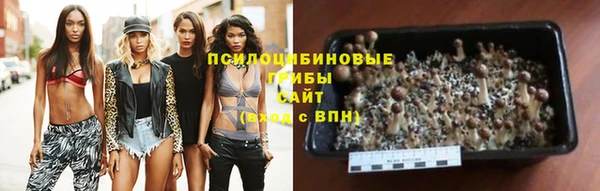 индика Волоколамск