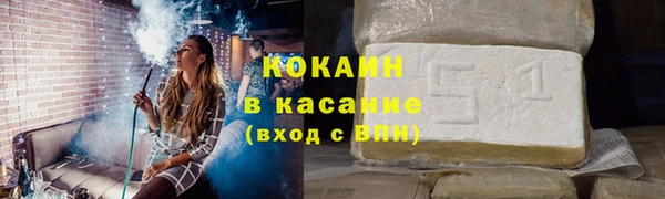 индика Волоколамск