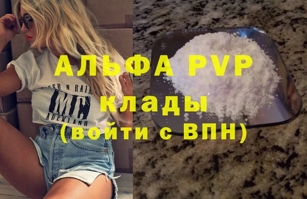 индика Волоколамск