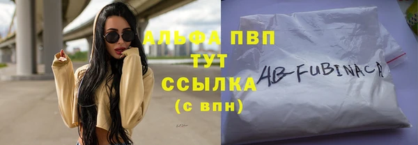 индика Волоколамск