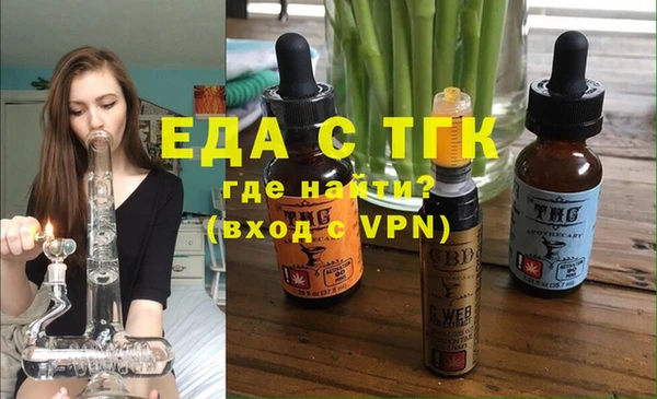 индика Волоколамск