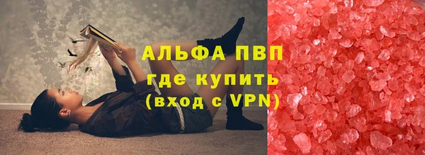 индика Волоколамск